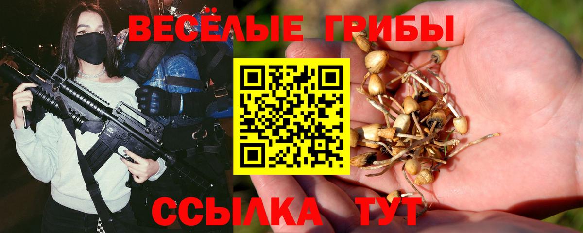 Псилоцибиновые грибы мицелий Камень-на-Оби